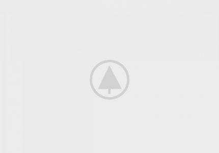 wood-gallery-placeholder