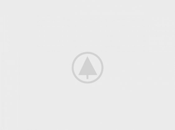 wood-gallery-placeholder-5 wood-gallery-placeholder-5