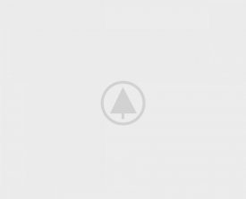 wood-portfolio-placeholder wood-portfolio-placeholder