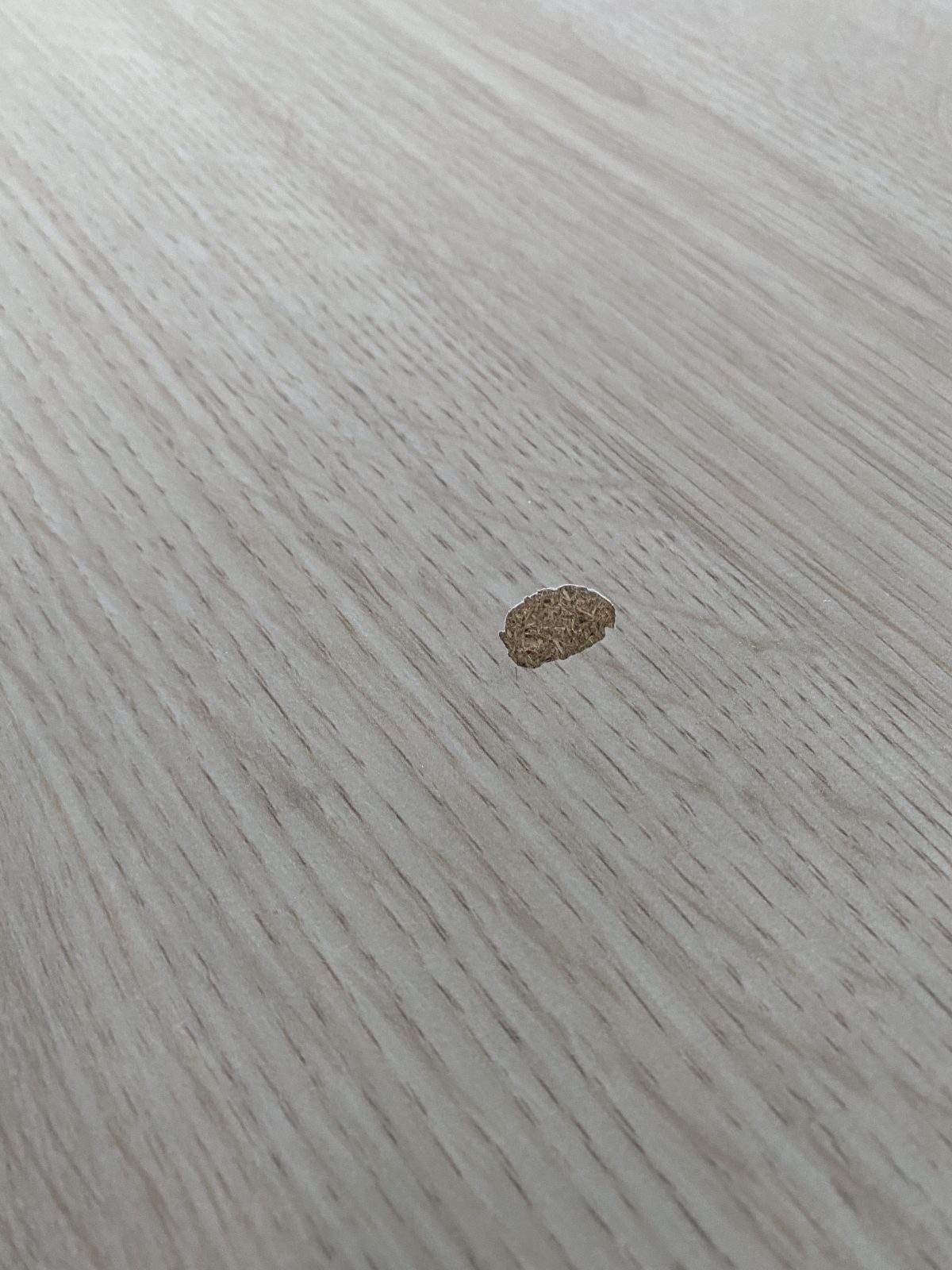 GispenTM Adjustable duo-desk with crank - 170x80xH62-86 cm, ST4364 - Image 8