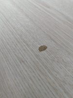 GispenTM Adjustable duo-desk with crank - 170x80xH62-86 cm, ST4364 - Image 8