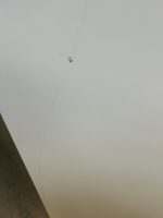 Storage cabinet - 151x47xH75 cm, ST04274 - Image 11