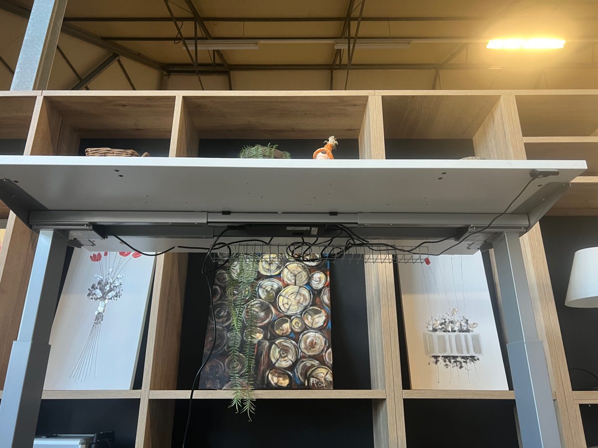 Actiforce – Electric sit-stand desk with cable management – 158x76xH64-130 cm, ST04322 - Image 8