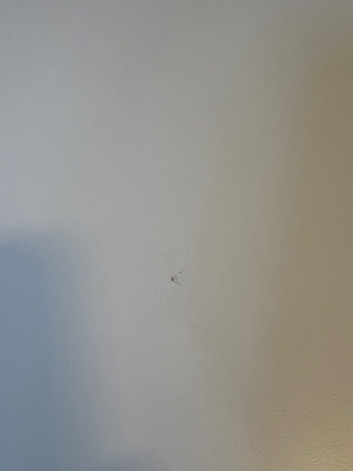 Actiforce – Electric sit-stand desk with cable management – 158x76xH64-130 cm, ST04322 - Image 10