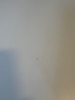 Actiforce – Electric sit-stand desk with cable management – 158x76xH64-130 cm, ST04322 - Image 10