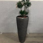 Natural plant with pot – H190 cm, ST04365