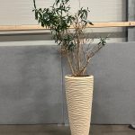 Natural plant with pot – H240 cm, ST04377