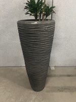 Natural plant with pot – H190 cm, ST04365 - Image 2