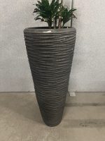 Natural plant with pot – H190 cm, ST04365 - Image 2