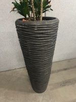 Natural plant with pot – H190 cm, ST04365 - Image 4