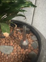 Natural plant with pot – H190 cm, ST04365 - Image 7