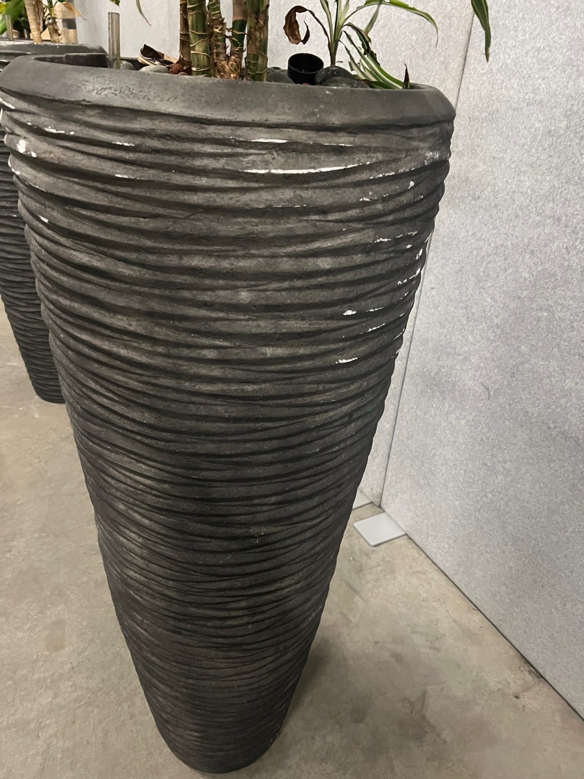 Natural plant with pot – H210 cm, ST04374 - Image 5