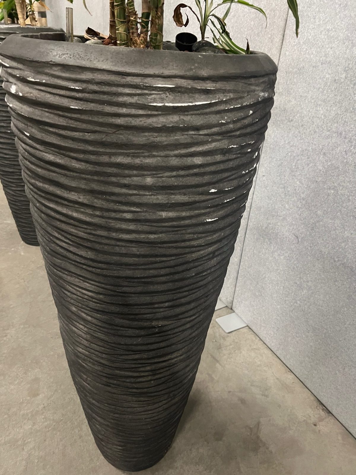 Natural plant with pot – H210 cm, ST04374 - Image 5