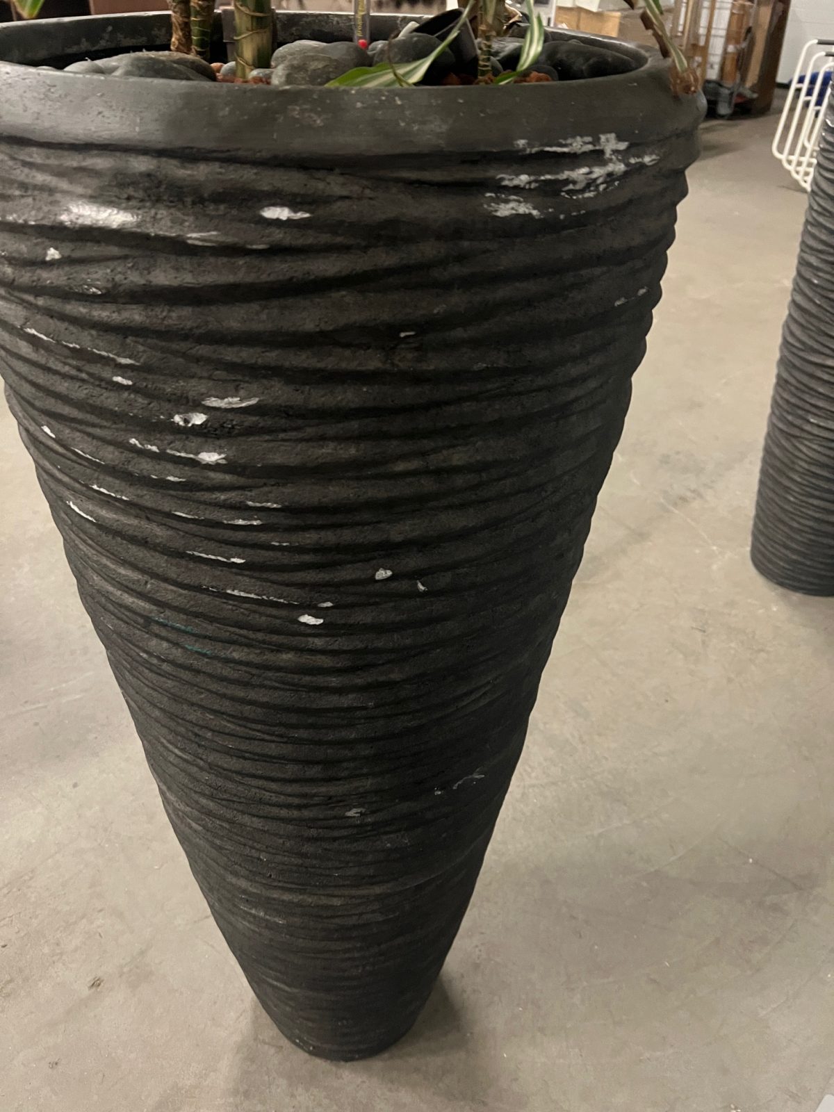 Natural plant with pot – H210 cm, ST04374 - Image 6