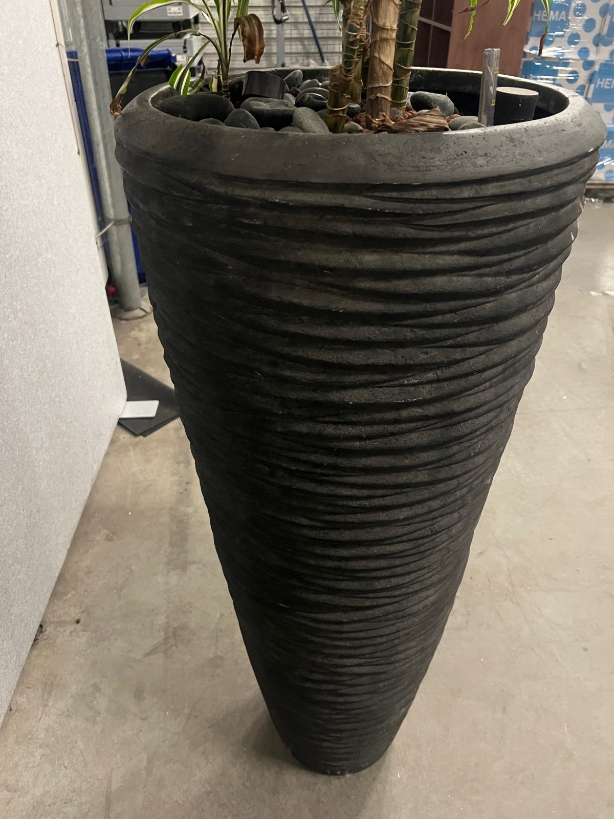 Natural plant with pot – H210 cm, ST04374 - Image 4