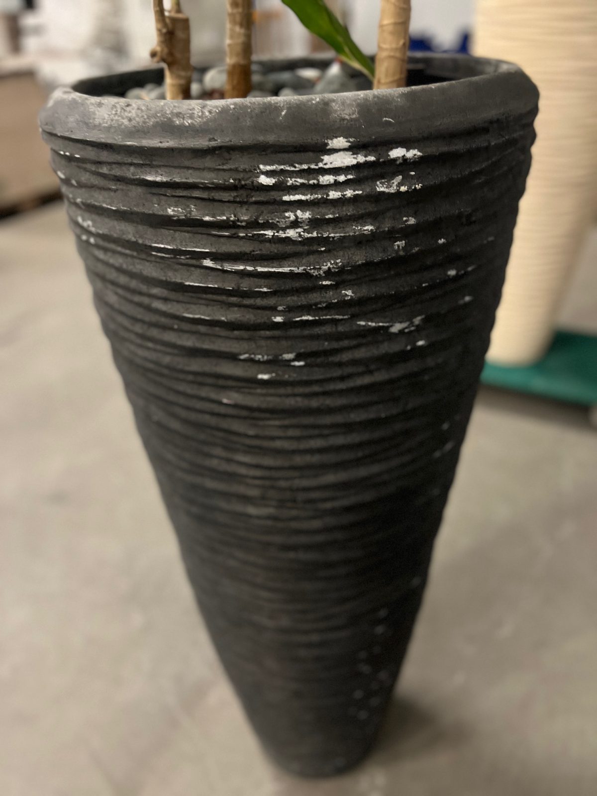 Natural plant with pot – H220 cm, ST04375 - Image 6