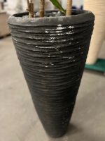 Natural plant with pot – H220 cm, ST04375 - Image 6