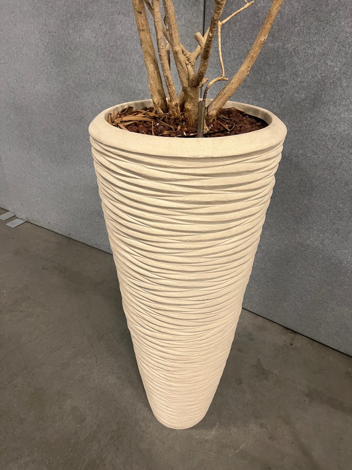 Natural plant with pot – H240 cm, ST04377 - Image 3