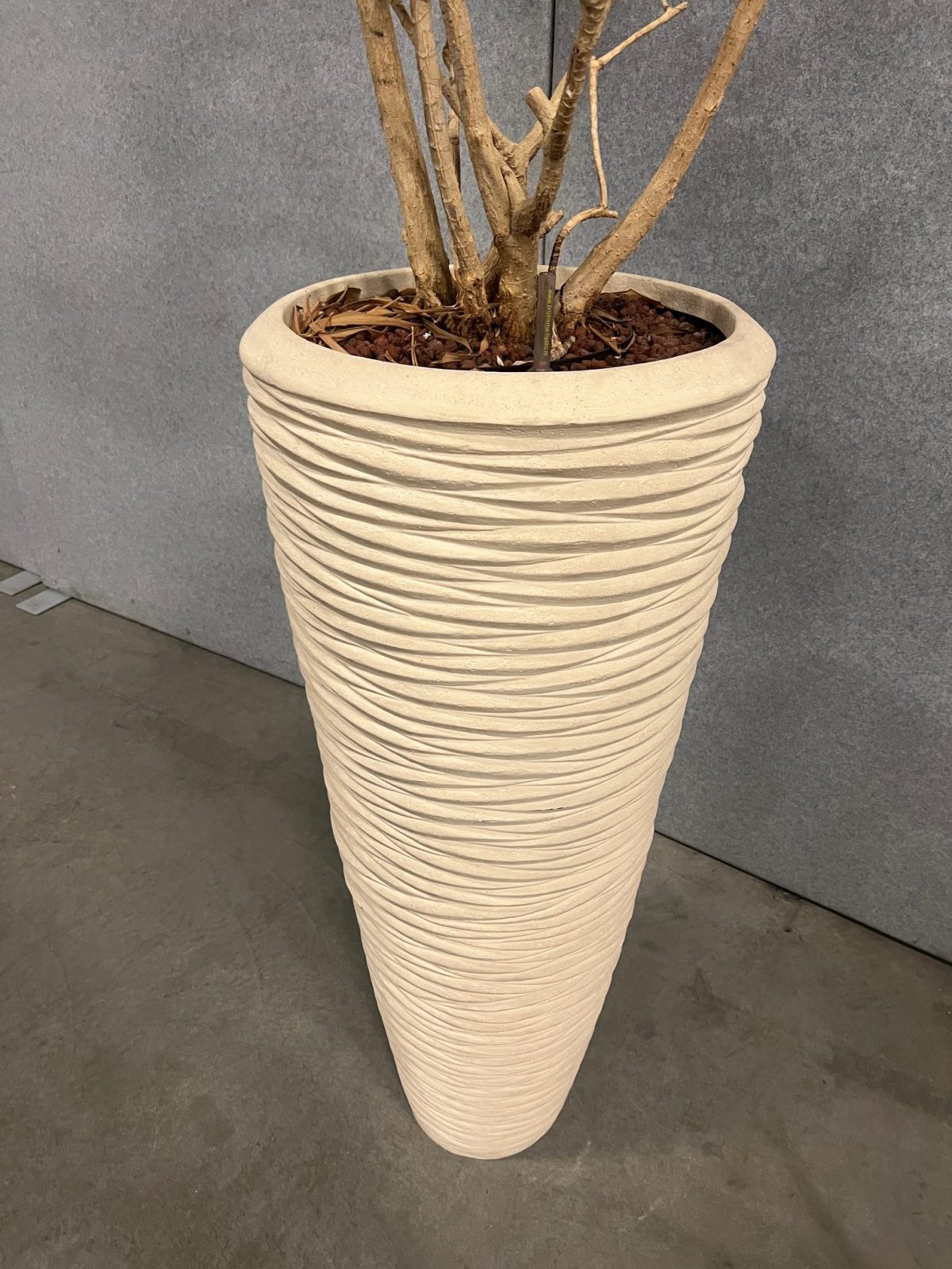 Natural plant with pot – H240 cm, ST04377 - Image 3