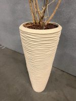 Natural plant with pot – H240 cm, ST04377 - Image 3