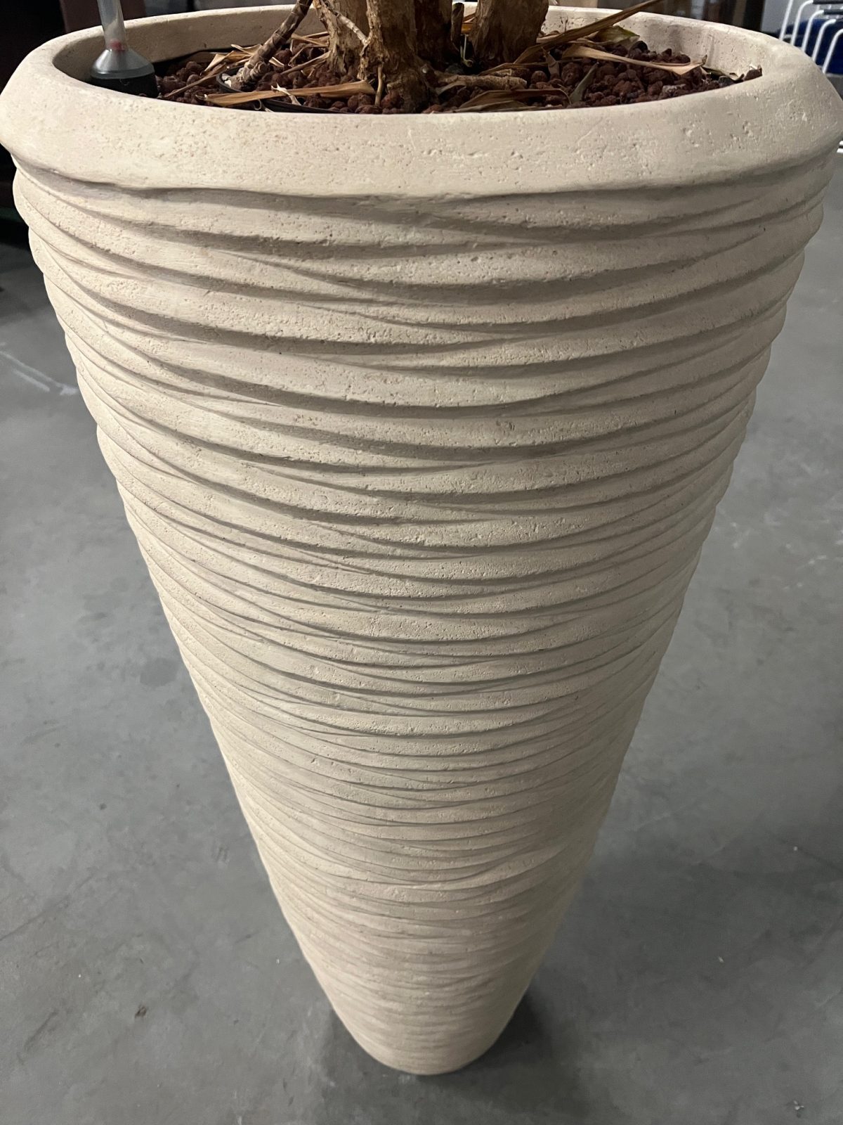 Natural plant with pot – H240 cm, ST04377 - Image 7