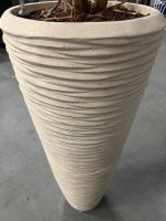 Natural plant with pot – H240 cm, ST04377 - Image 7