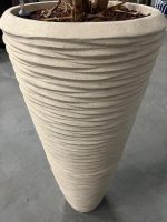 Natural plant with pot – H240 cm, ST04377 - Image 7