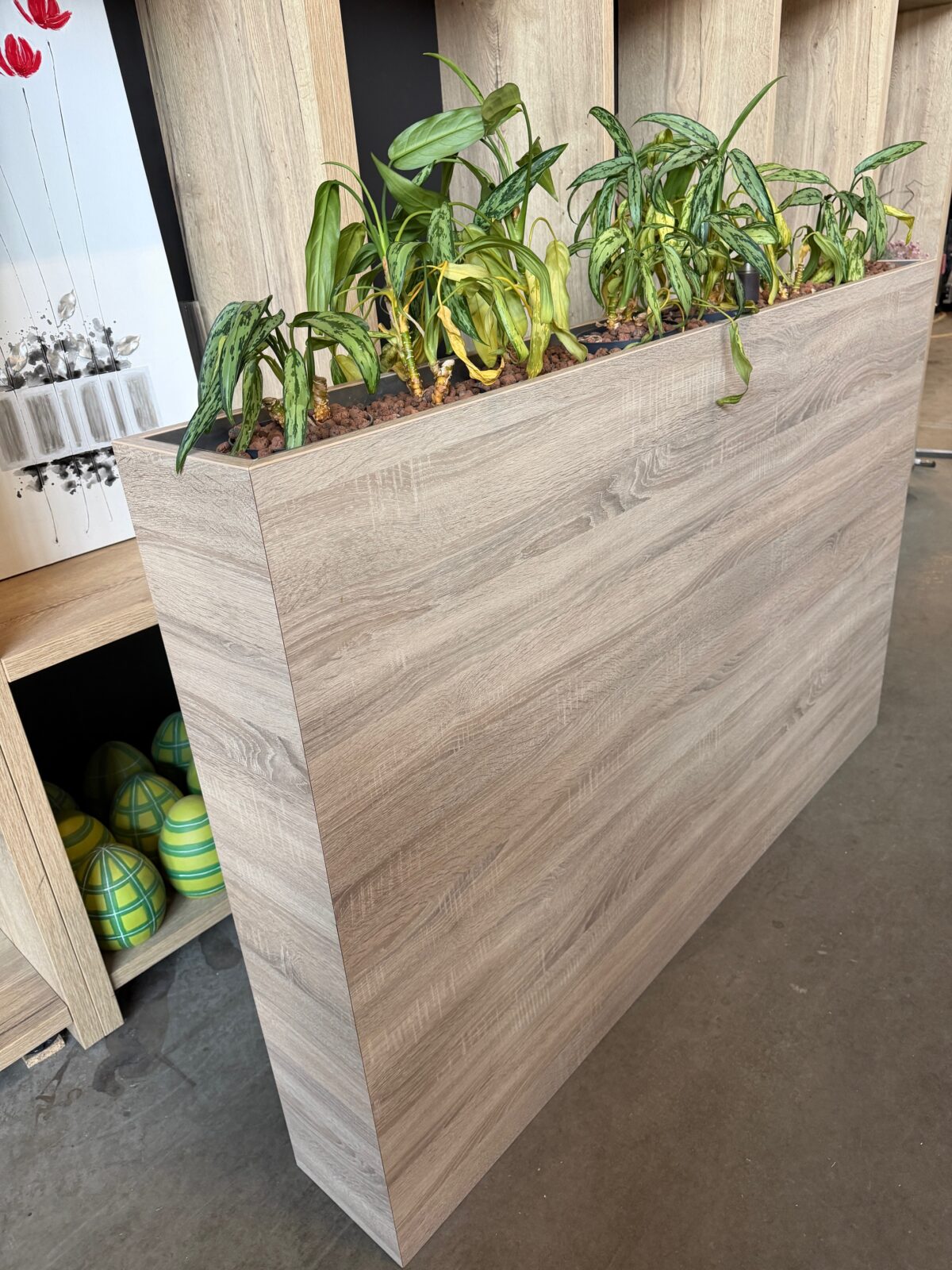 Flower box with natural plant - 168x23xH110 cm, ST04599 - Image 4
