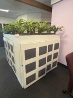 Cabinet with plant - 160x45xH120 cm, ST04773 - Image 2