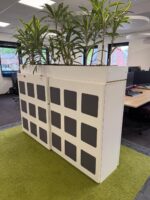 Cabinet with plant - 160x45xH120 cm, ST04773