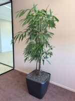 Natural plant, ST51x51x47-190 cm, ST04873 - Image 3