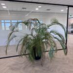 Natural plant, ST04874